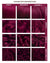 FUCHSIA PINK