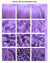 IRIS PURPLE