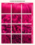 LYCHEE PINK