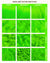 NEON LIME