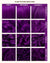 PLUM PURPLE