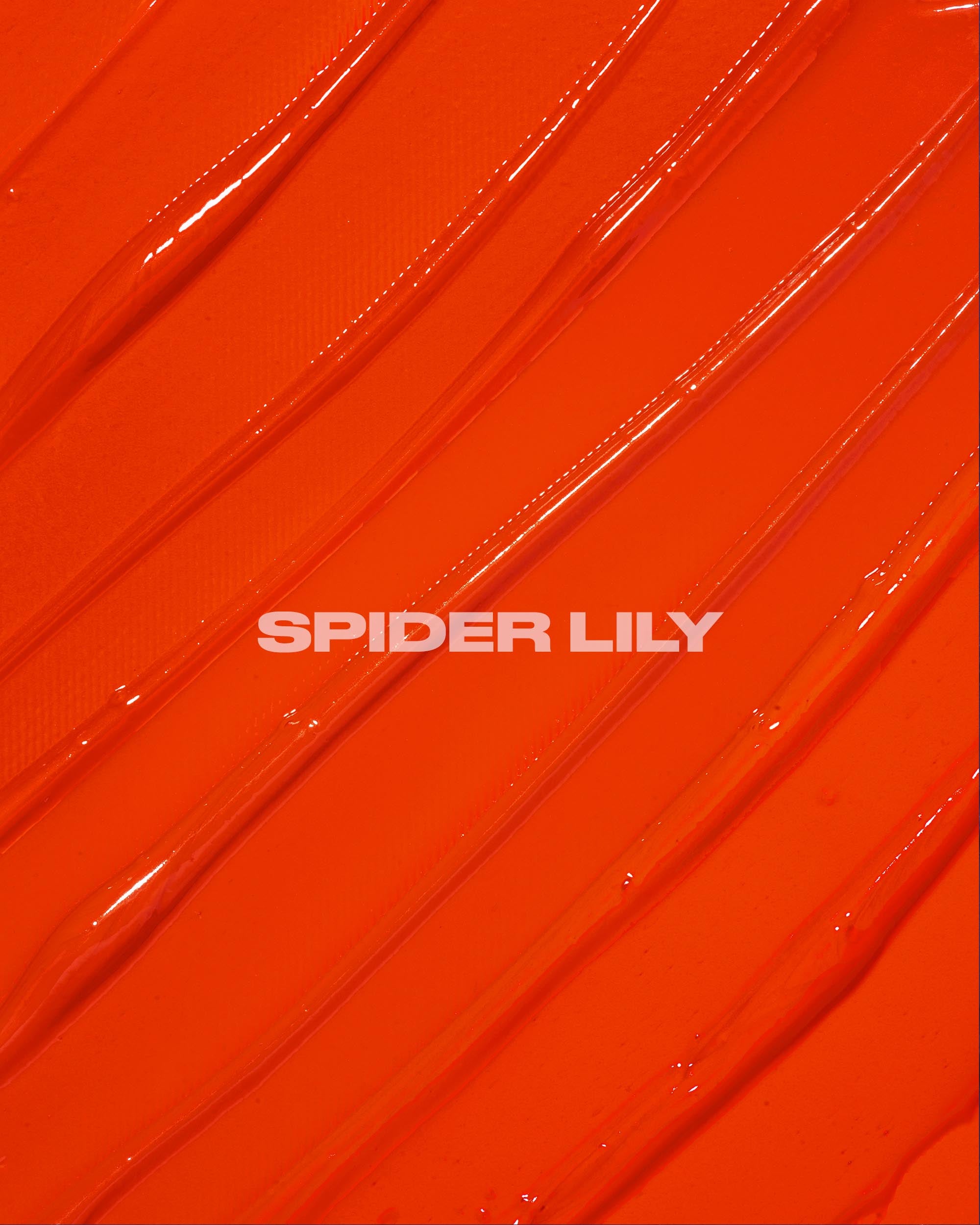 SPIDER LILY