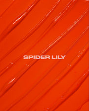 SPIDER LILY