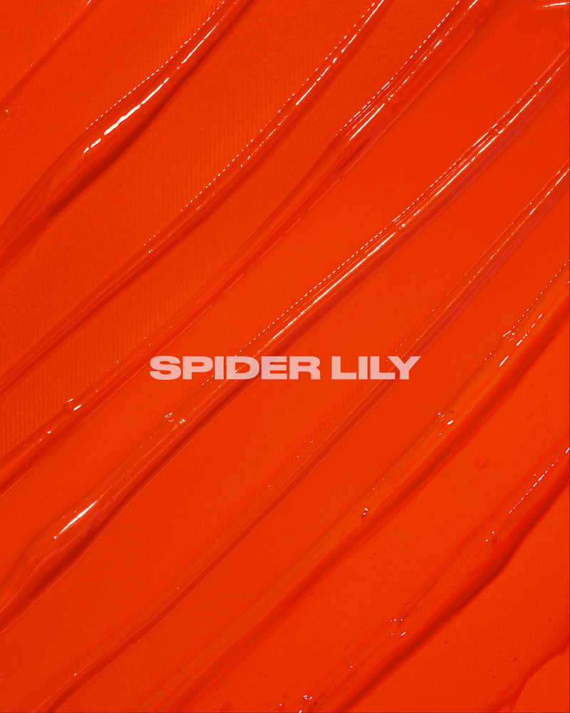 SPIDER LILY