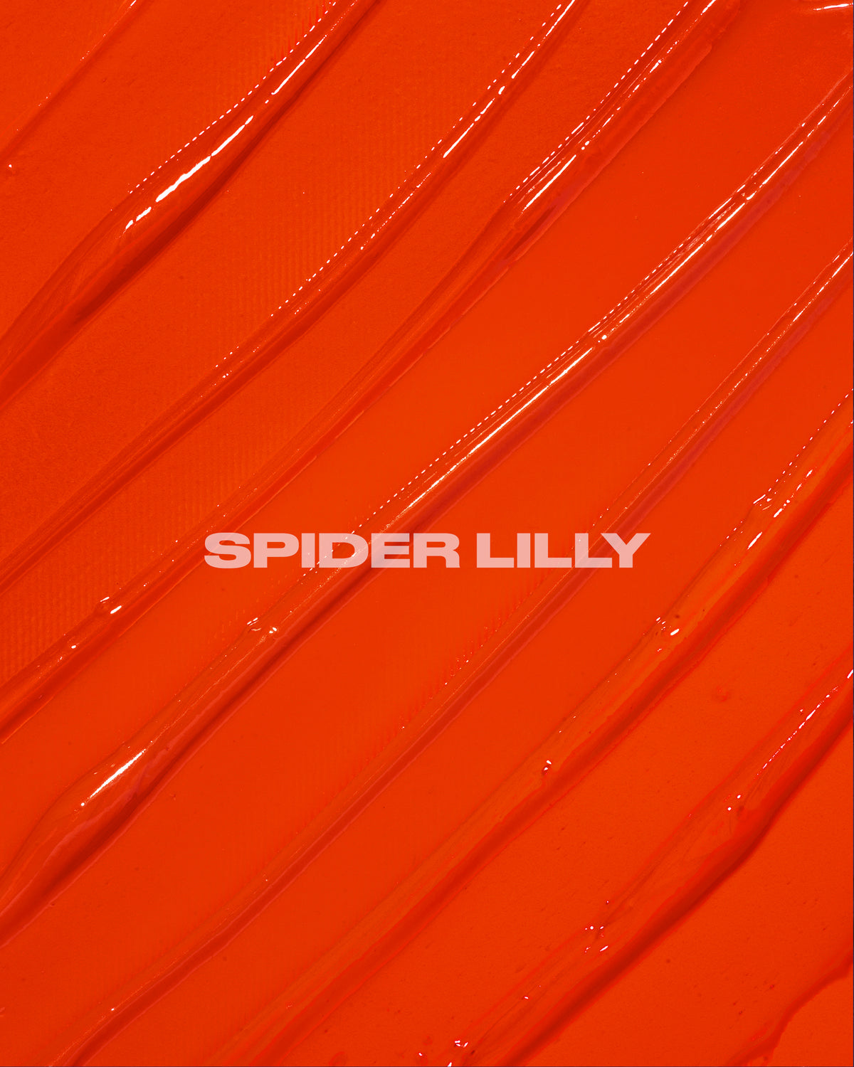 SPIDER LILY