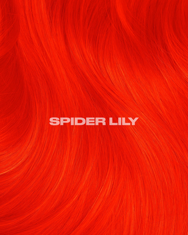 SPIDER LILY