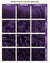 SMOKEY PURPLE