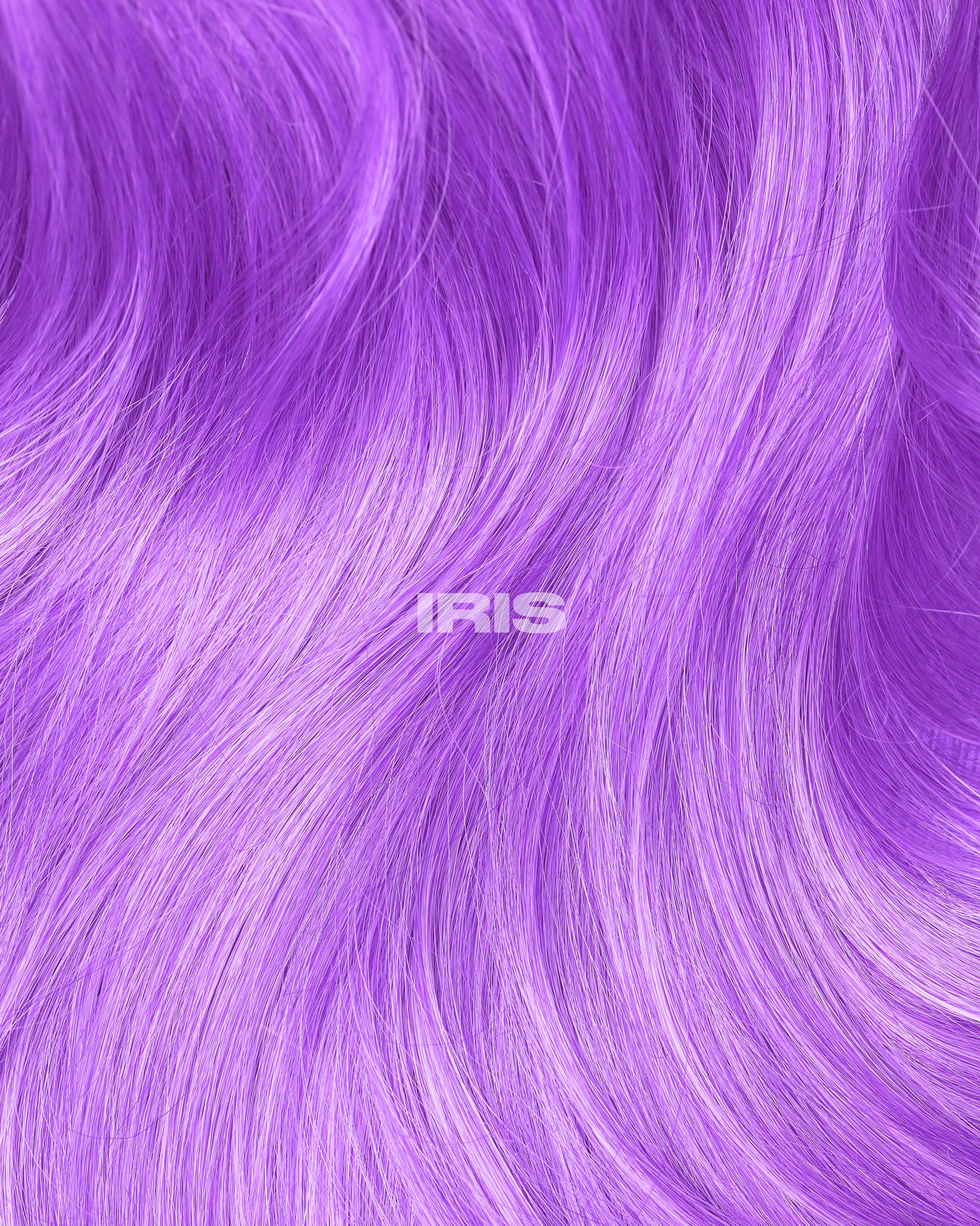IRIS PURPLE