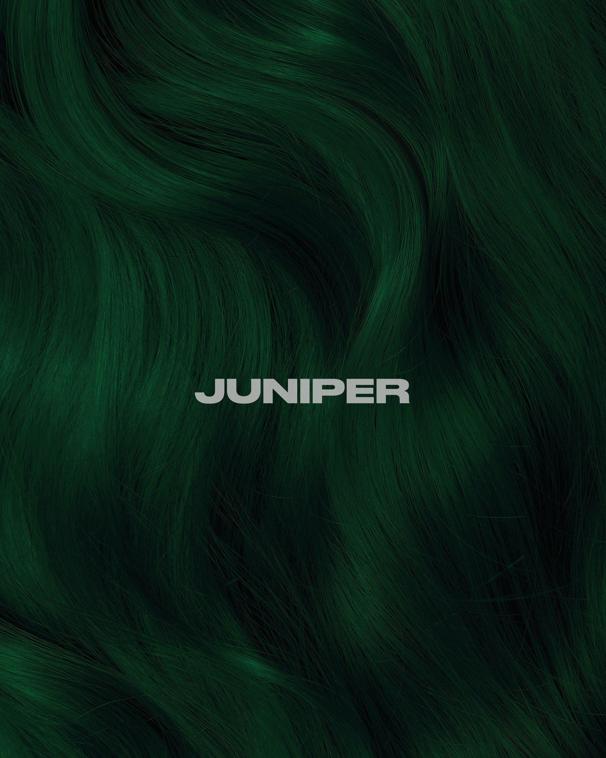 Juniper Green Hair Dye | Lunar Tides - LUNAR TIDES HAIR DYES