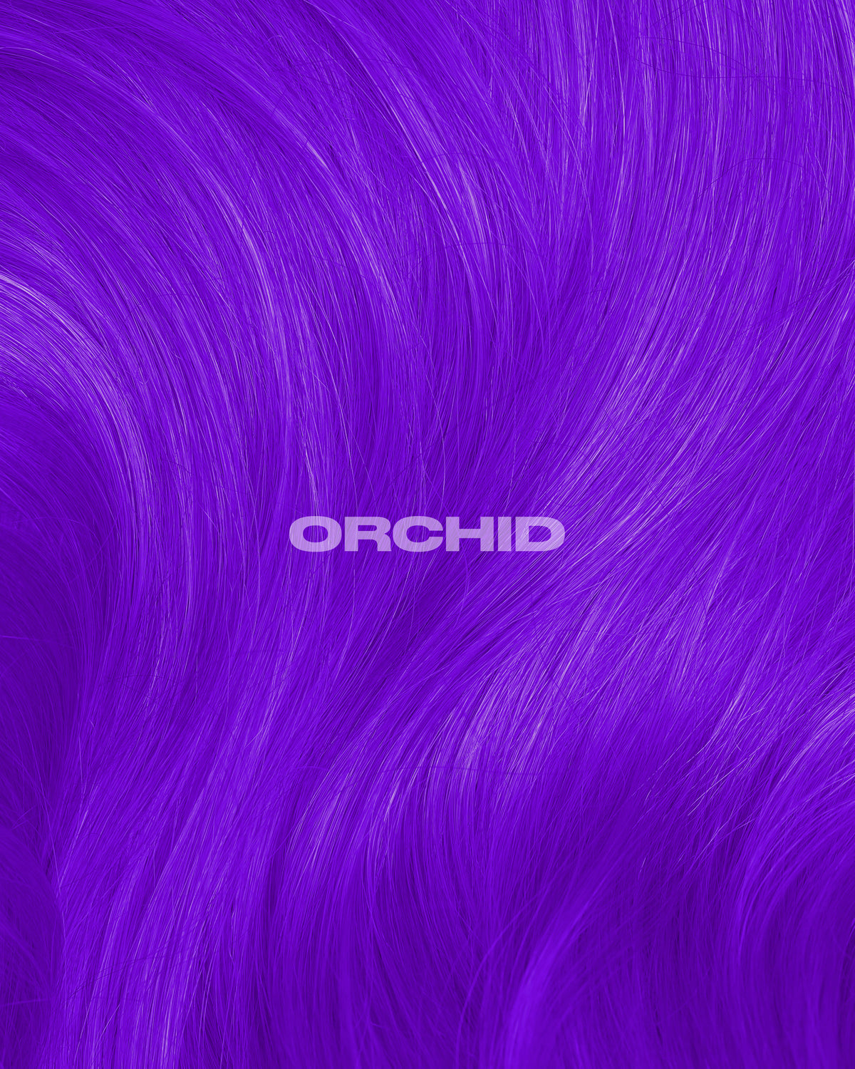 ORCHID PURPLE