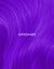 ORCHID PURPLE