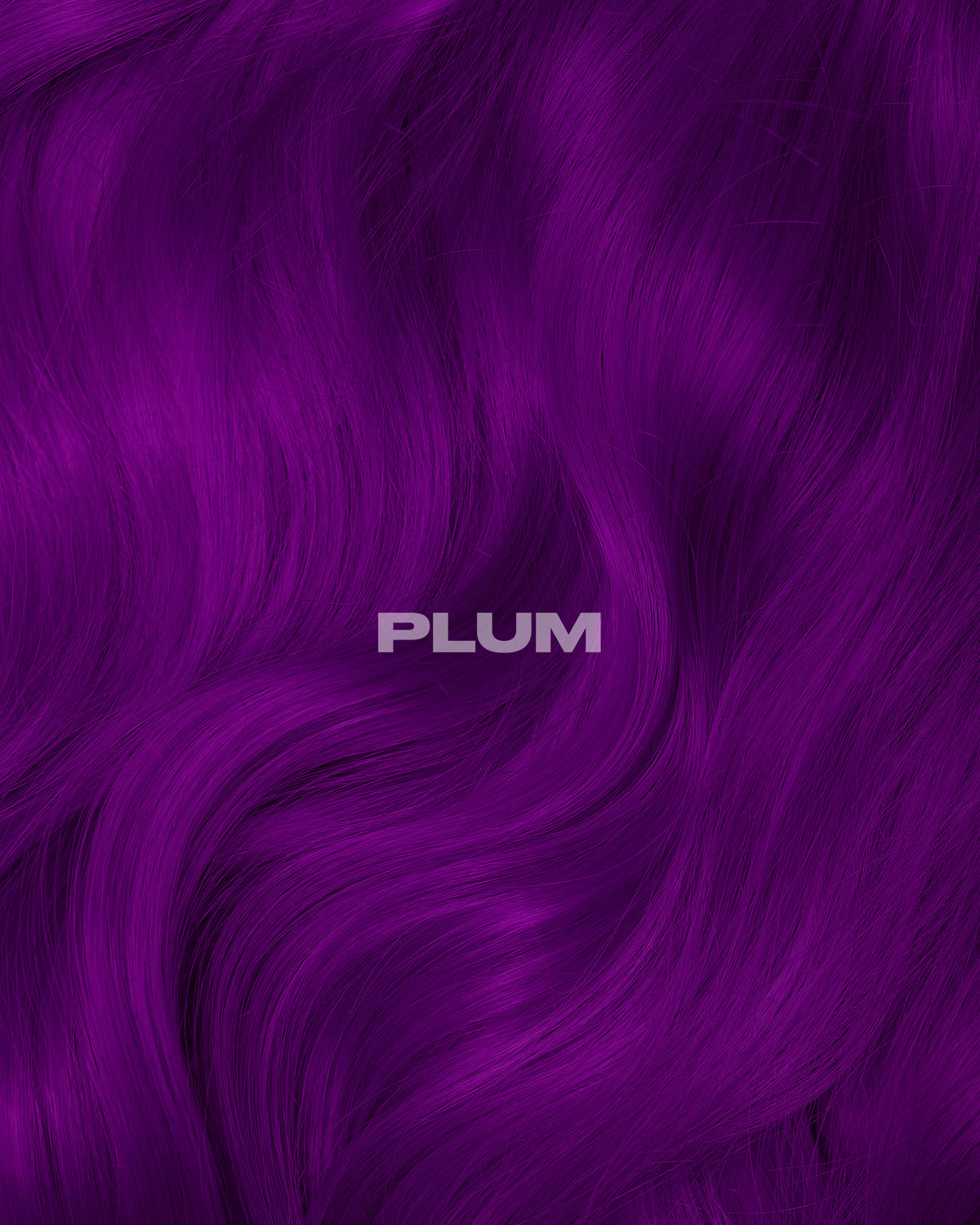 PLUM PURPLE