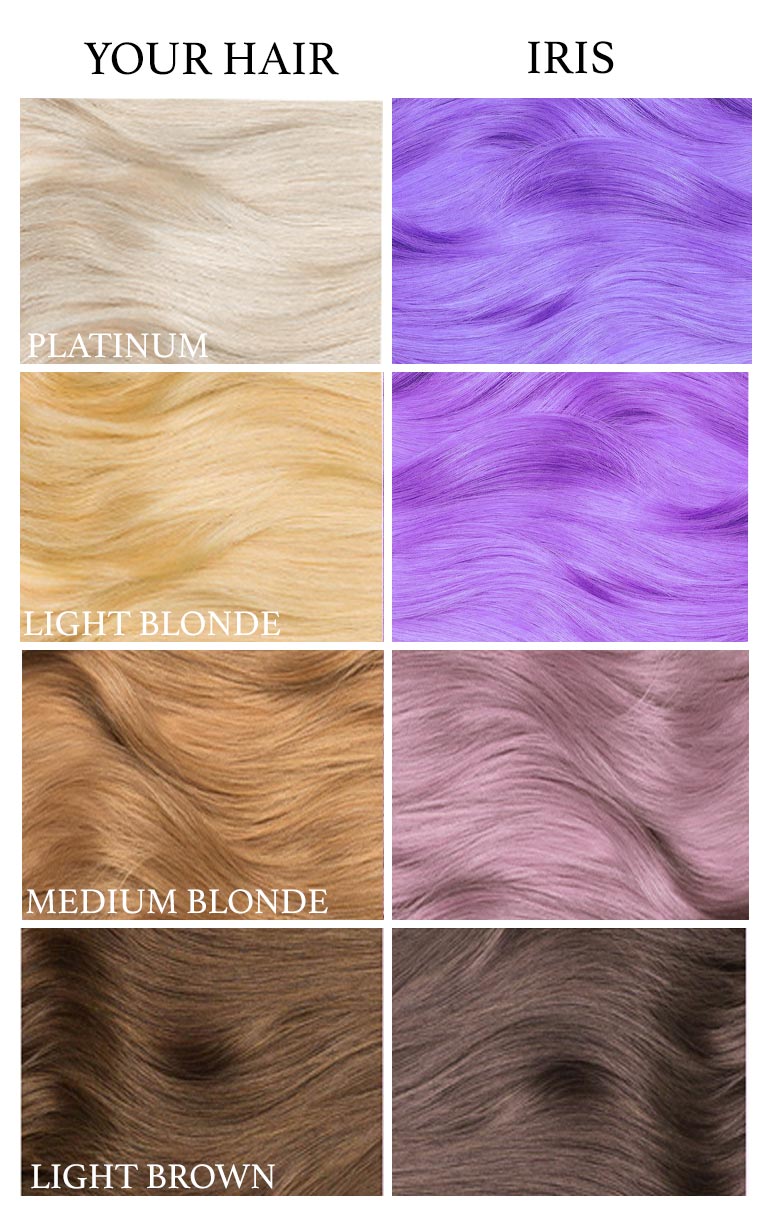 Shades Of Purple Hair Color Chart