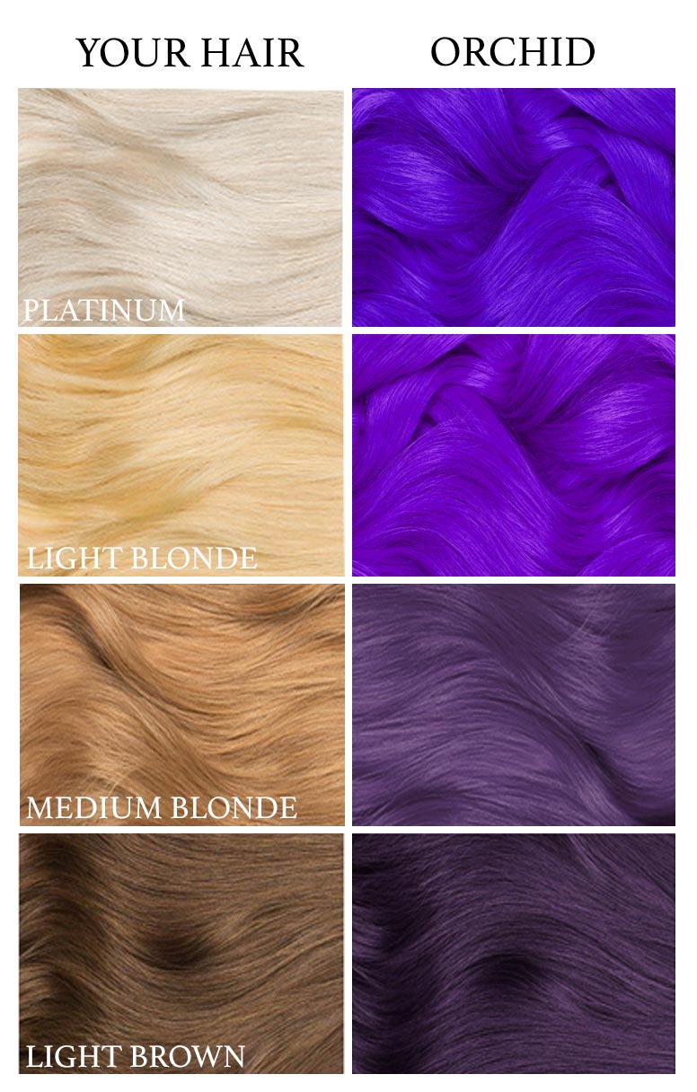 Hair Color Independent Variable Example Shades Of Purple Hair Color Chart