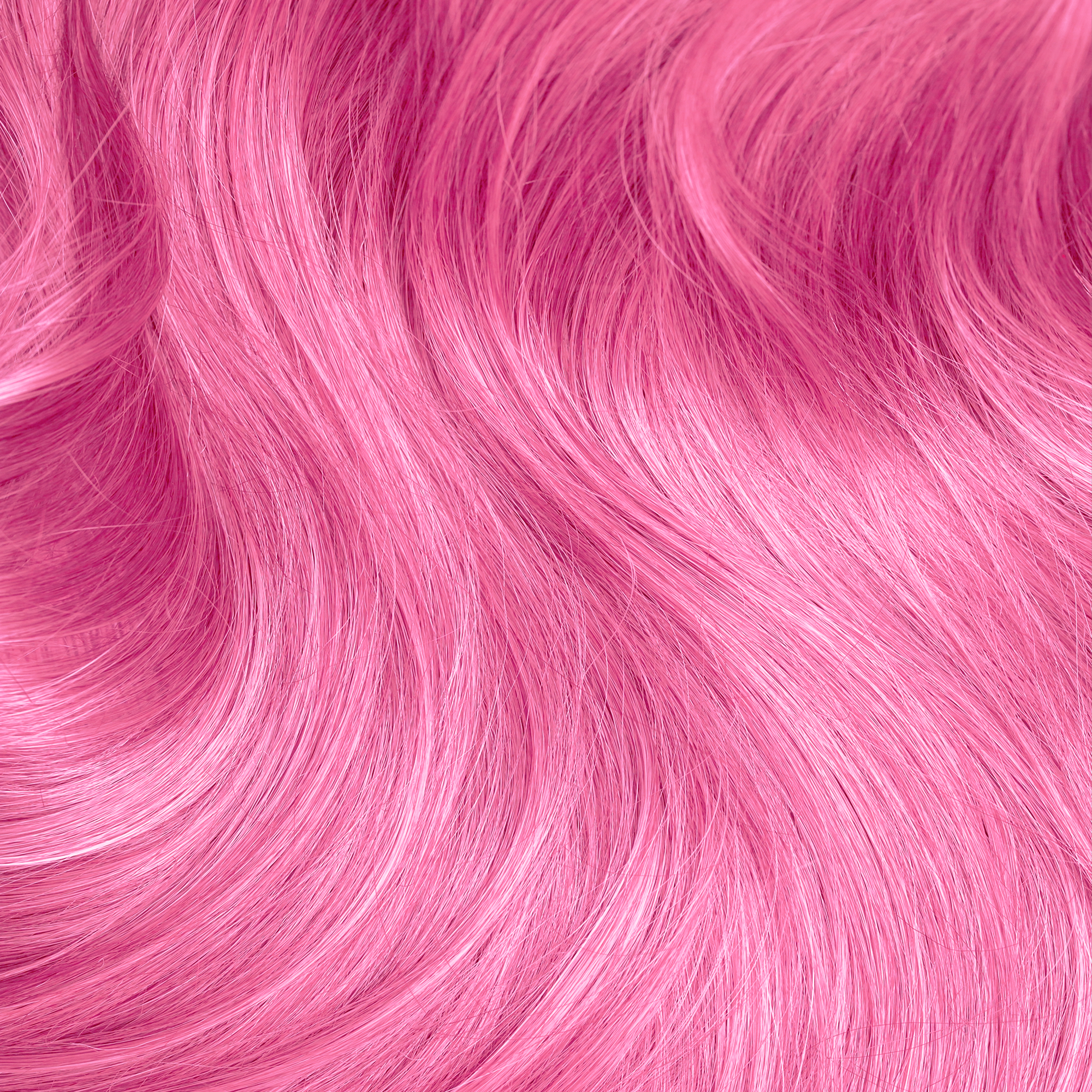 Petal Pink ( New Version)